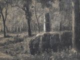 a black and white photo of a tree stump in the woods
