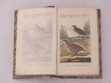 deux oiseaux perchés sur un livre