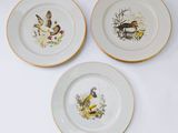 trois assiettes sur lesquelles sont peints des oiseaux, posées sur une surface blanche