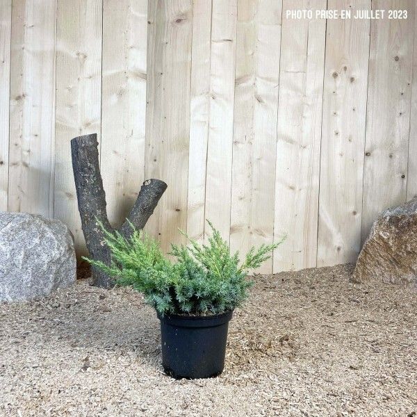 Destockage & Invendus