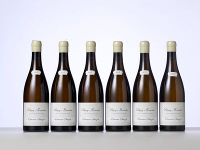 six bouteilles de vin sont alignées sur une table