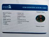 Photo 3/3 du lot