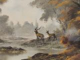 a picture of a painting of a deer and a deer in the woods
