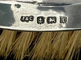 a close up of a brush with a metal handle