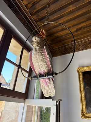 a bird that is hanging from a chandelier in a room