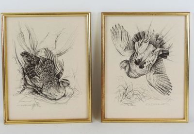 deux dessins encadrés représentant des oiseaux en vol, dont l'un est un faisan et l'autre un faisan