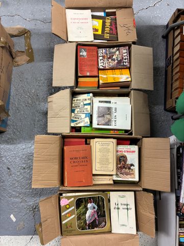 Lot de 5 cartons de littérature moderne.