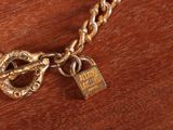 a gold chain with a lock and a padlock on it