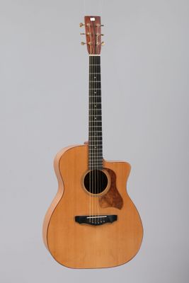 a close up of a guitar hanging on a wall
