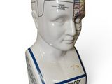 une image représentant une tête en porcelaine sur laquelle figure une étiquette de phrénologie