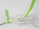a glass vase with a green ribbon in it
