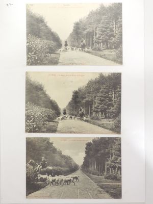 three black and white photos of horses and people on a road