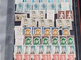 many different stamps in a display case on the table