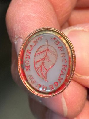une personne tenant une pièce sur laquelle est représentée une feuille