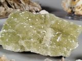 a piece of green mineral on a plate with shells