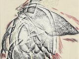une image représentant un dessin d'une tortue avec un poisson sur le dos