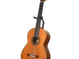 une guitare acoustique posée sur un support, sur fond blanc