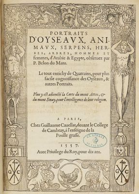 un vieux livre avec l'image d'une femme