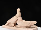 two birds that are sitting on top of a table