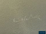 a picture of a picture of a frosty surface