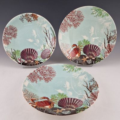 deux assiettes posées sur une table, sur lesquelles se trouvent des coquillages et des coquilles