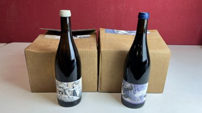 deux bouteilles de vin posées l'une à côté de l'autre sur une table