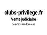 Photo 1/1 du lot