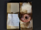 a box with a donut inside of it on a table
