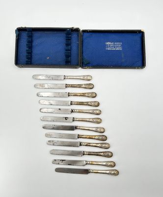 six knives in a blue case are lined up on a white surface