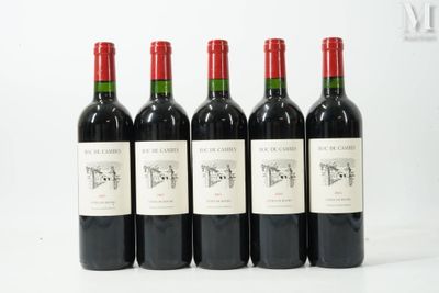 six bouteilles de vin sont alignées sur une surface blanche