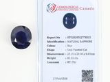 un gros plan d'un saphir bleu sur lequel est apposée une étiquette de prix