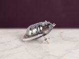 a small silver beetle sitting on top of a marble table