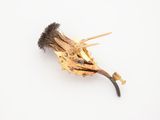 a piece of wood that has been burned and is on a white surface