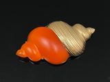 une coquille orange surmontée d'une coquille dorée, le tout sur un fond noir