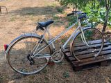 a bike that is parked next to a tree