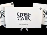 trois panneaux blancs portant l'inscription « secret hair » sur fond noir