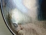 a close up of a silver plate with a small bug on it