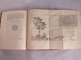 Photo 15/18 du lot