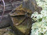 un oiseau perché sur une chaise dans le jardin