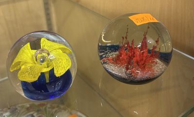 deux vases en verre contenant différents types de poissons