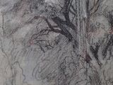 dessin représentant un arbre dans un parc, avec un banc au premier plan