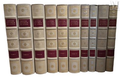 les livres sont alignés sur une surface blanche