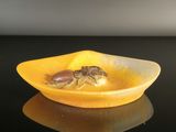 a small crab in a yellow bowl on a black table