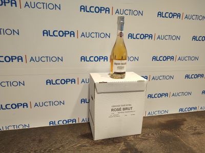 LIEU DE STOCKAGE : Rennes - INCONNUE - 6 BOUTEILLES DE VIN MOUSSEUX ME - Photo 1