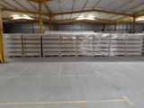 a large warehouse with pallets of eggs on the floor