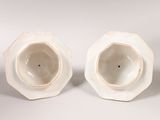 pair of white porcelain vases on white background with white background