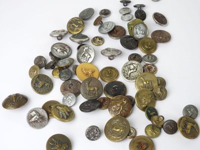 a lot of coins that are on a white surface