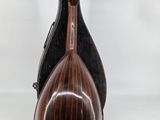 an image of a mandolin sitting on top of a wooden stand