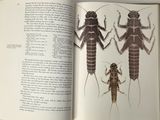 an open book with a picture of two bugs and a bug