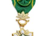 Gros plan sur une médaille sur fond blanc, accompagnée d'un ruban vert